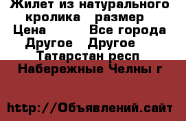 Жилет из натурального кролика,44размер › Цена ­ 500 - Все города Другое » Другое   . Татарстан респ.,Набережные Челны г.